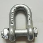 Marine Hardwares 10mm Screw Pin Anchor Bow Shape D Shackles Steel Wire Rope Lifting